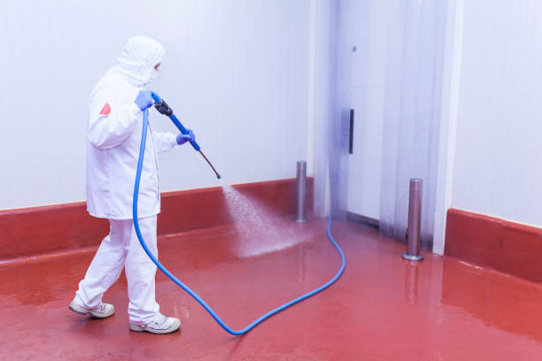 Paint Preparation in Ellisville, MS